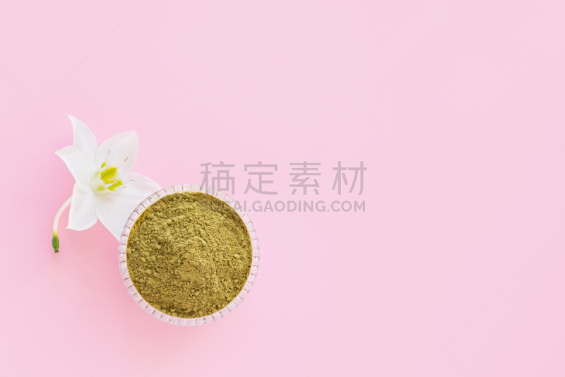 白色,自然,眉毛,美,美容院,头发,动物手,粉色背景,花