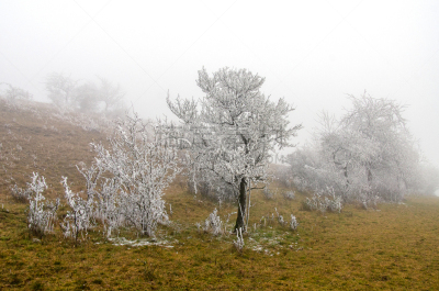Winterlandschaft in der thüringer Rhön