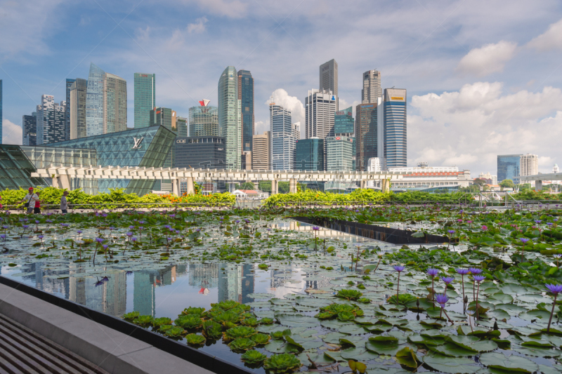 旅游目的地,滨海湾 ,都市风景,新加坡市,广角镜头,桨叉架船,名声,居住区,旅途,黄昏