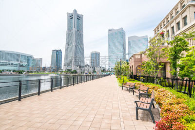 城市,横滨,旅途,城镇景观,公园,现代,横滨地标大厦,河流,户外,建筑