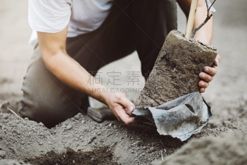 户外,春天,男人,农业,土耳其,花盆,仅男人,仅一个男人,公园,农场