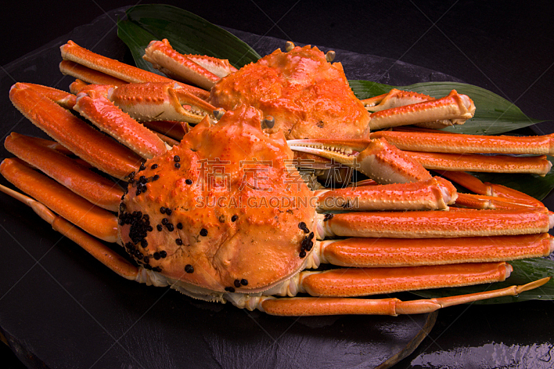 阿拉斯加雪蟹,海产,螃蟹,日本食品,食品,冬天,图像,成分,日本料理,无人