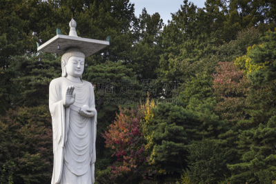 寺庙,首尔,朝鲜半岛,居住区,江南区,水平画幅,曙暮光,旅行者,户外,都市风景