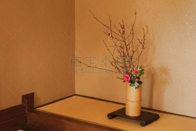插花术,活力,平衡,凹间,简单,禅宗,古典式,茶花,住宅内部,植物