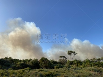 云景,纵火罪,环境,云,环境保护,天气,草,粗心的,夏天,户外