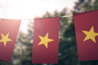 选择对焦,水平画幅,无人,户外,前景聚焦,越南,彩色图片,骄傲,悬挂的,身份