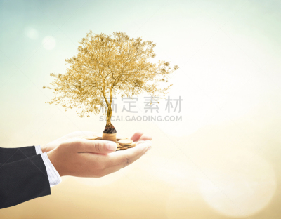 概念,投币式,遮护的手势,慈善捐赠,泰国,存钱罐,客户服务代表,探险家,植物,前进的道路