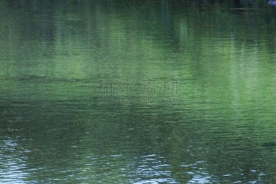 河流,背景聚焦,材料,美,水平画幅,无人,九月,户外,干净,草