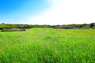 春天,石墙,风景,田地,围墙