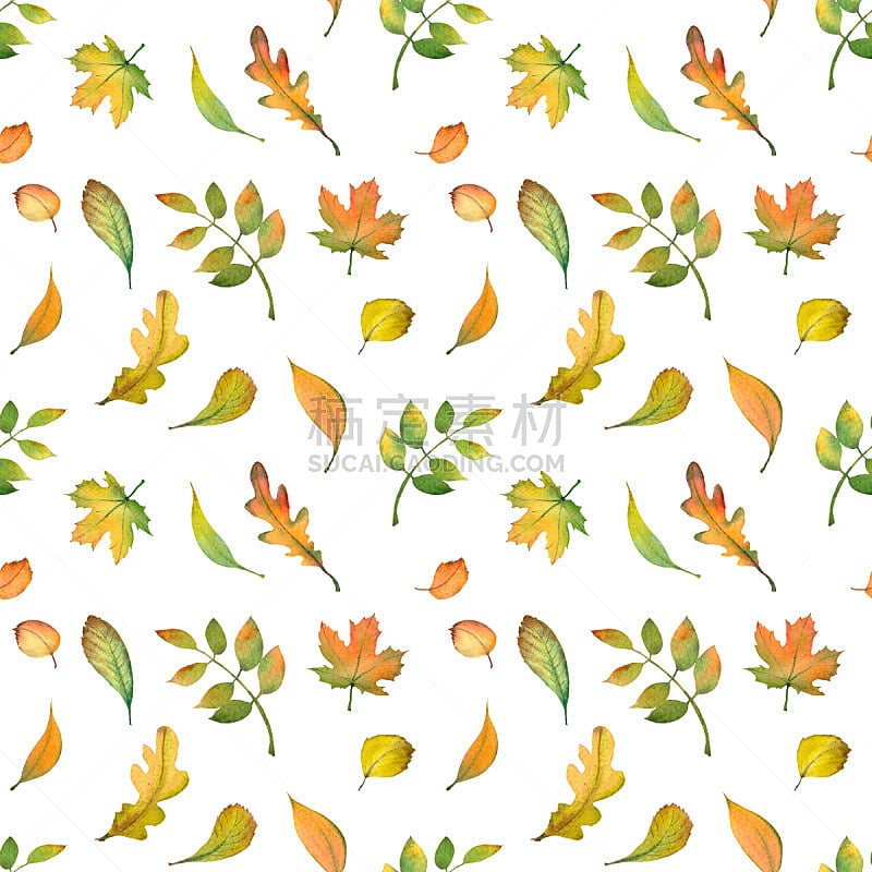 四方连续纹样,秋天,叶子,多色的,九月,十月,水彩画颜料,纺织品,法国,橡树叶