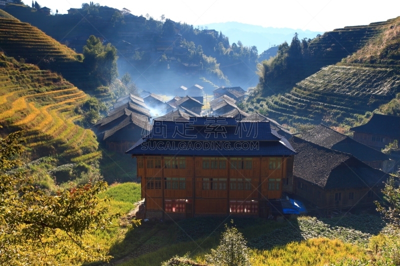 乡村,龙脊梯田,龙胜,桂林,水稻梯田,水平画幅,高视角,户外,农作物,稻田