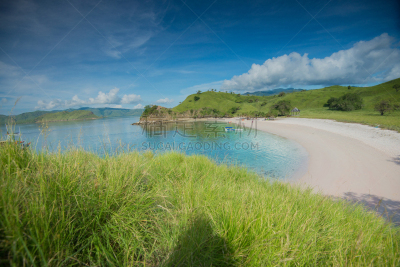 库莫度,海滩,印度尼西亚,纳闽,粉色,风景,弗罗里斯岛,科莫多巨蜥,群岛,龙