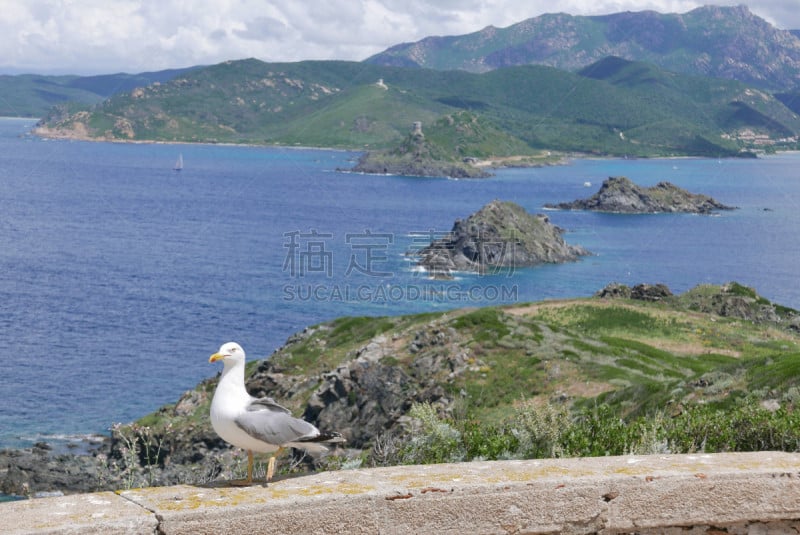 科西嘉,阿雅克修,岛,南,几乎,旅游目的地,伦敦城,赤血岛,法国,山口