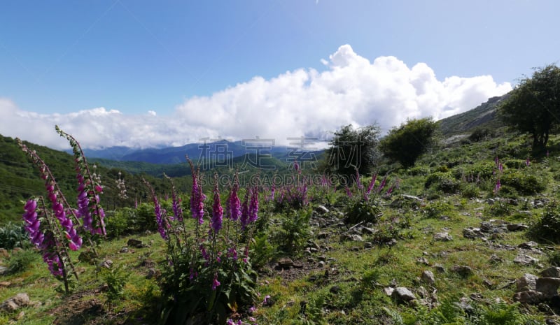 科西嘉,阿雅克修,岛,旅游目的地,赤血岛,伦敦城,南,几乎,法国,山口