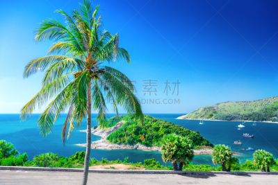 视角,岛,前面,男人,斗篷,热带气候,泰国,公园,枝繁叶茂,热带树
