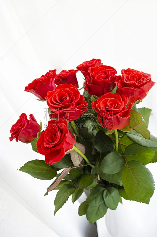 玫瑰 红色 白色背景 花瓶 花束 分离着色 周年纪念 贺卡 清新 背景分离图片素材下载 稿定素材