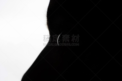 人的眼睛,特写,眼部扫描仪,角膜,视网膜,生物识别,隐形眼镜,白内障,纤维光学,虹膜