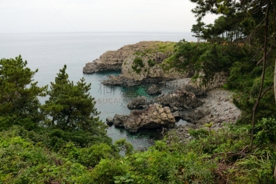 제주 서귀포 해안의 풍경이다.
