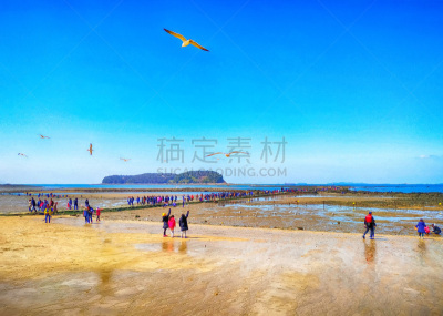 小吃,海鸥,韩国,海滩,亚洲,虾,风景,图像,海洋,船