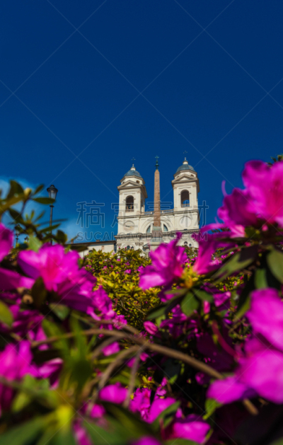 春天,罗马,西班牙阶梯,Piazza di Spagna,环境,云,花