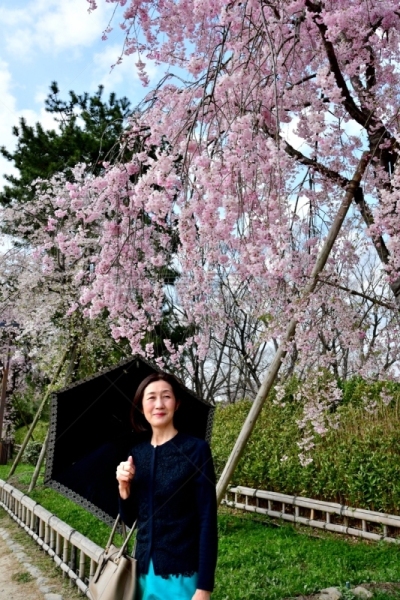 京都府,日本人,鸭川,女人,樱桃树,河岸,垂直画幅,半身像,樱花,河堤