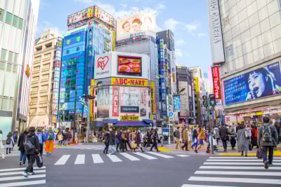 城镇,东京,购物中心,人行横道,日本,新宿区,人,群众,斑马,行军