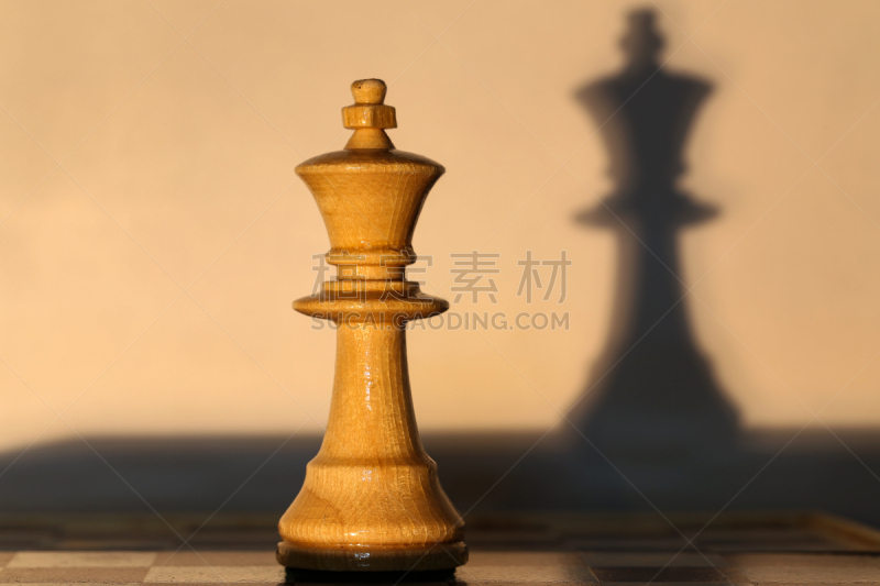 Chess piece - king and shadow from her