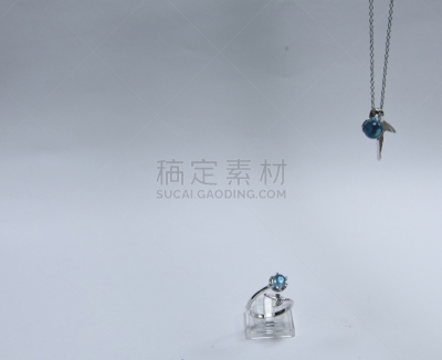 项坠,银色,宝石,戒指,蓝色,自然美,项链,华丽的,海豚,锻炼