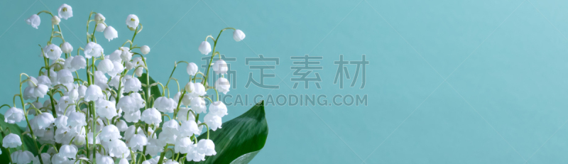 水鸭,花束,背景,铃兰