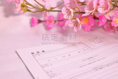 简历,樱花,商务,清新,边框,新入社成员,春天,植物,背景,充满的
