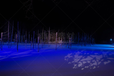 湖,冬天,美瑛町,贺卡,风,雪,池塘,烙心蓝池,深雪,背景