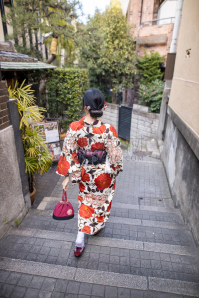 日本,和服,街道,传统,女人,狭窄的,台阶楼梯,白色人种,悲哀,步行