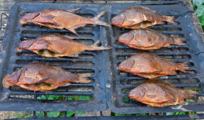鱼类,烟熏食品,格子烤肉,水平画幅,野餐,海产,鱼干,肉,烤的,干燥食品
