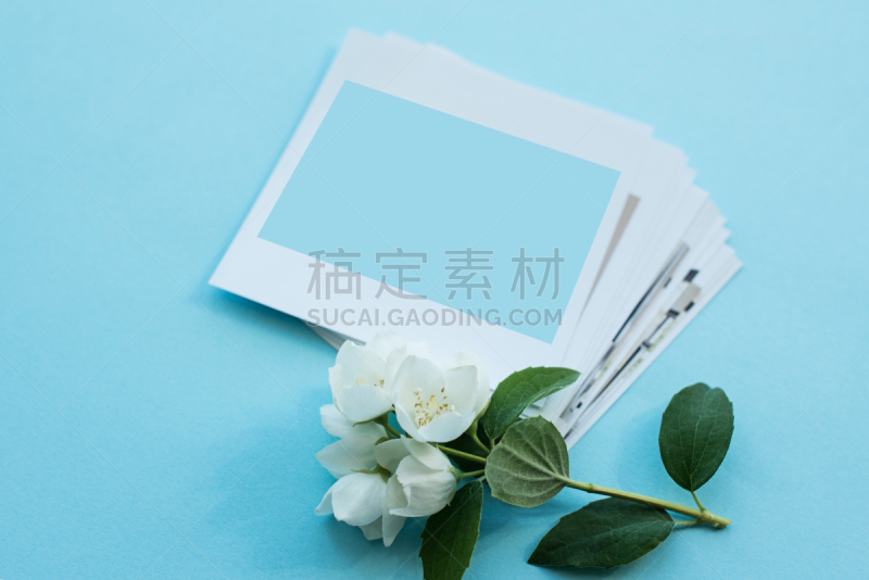 贺卡,正下方视角,蓝色背景,白色,即时成像,轻蔑的,图像技术,视角,空的,打印单据