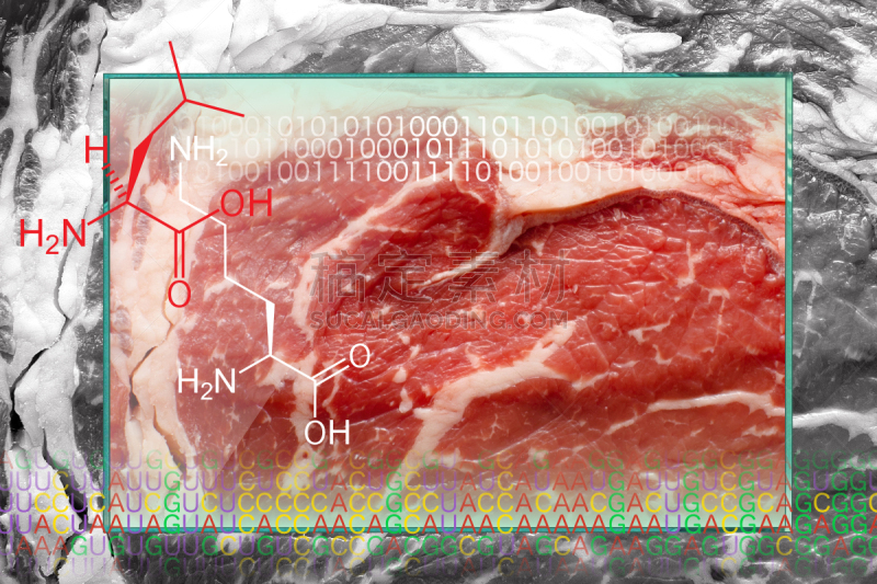 人造的,氨基酸,肉,陈列柜,母牛,公式,信使核糖核酸,编码,单色调,背景