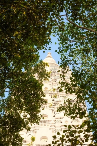 泰国,城市,寺庙,僧院,宝塔,佛塔,自然美,荣河