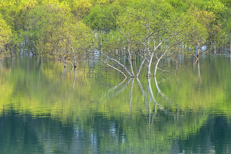 绿色 山形县 湖 日本 清新 白川乡图片素材下载 稿定素材