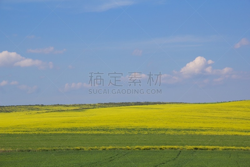 天空,蓝色,背景,自然美,绿山国家森林公园