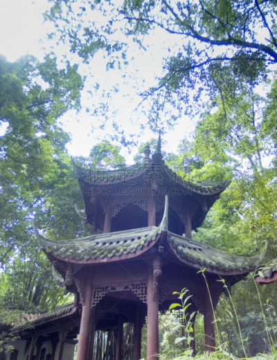 过去,亭台楼阁,唐朝,成都,盆景,四川省,垂直画幅,公园,无人,古老的