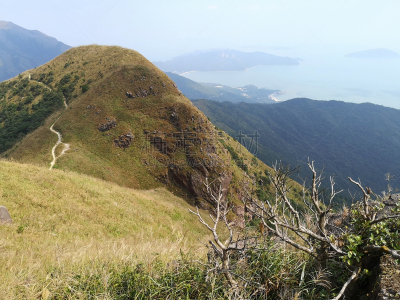 小路,大屿山,白昼,风景,全景,图像,太平洋,草,无人,旅游目的地