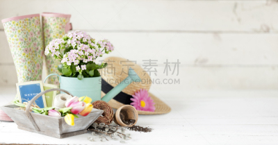 园艺器具,花盆,喷壶,郁金香,古典式,园艺手套,飞絮柳,乡村风格,植物,花