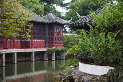 苏州,园林,拙政园,东方石景花园,星和园,自然,旅游目的地,水平画幅,建筑,无人
