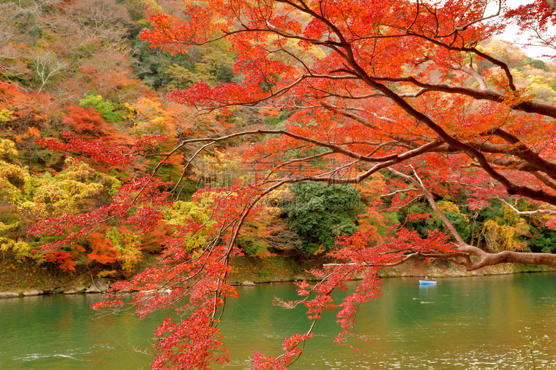 京都府,岚山,日本,秋叶色,居住区,橙色,观光船,大井河,著名景点,自然美