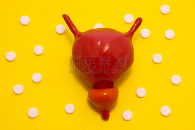 泌尿系统,个性,前列腺,模型,膀胱,圆点,白色,药丸,摄影
