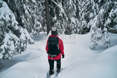 雪,女人,小路,户外,自然,徒步旅行,清新,青年人,白色人种,覆盖