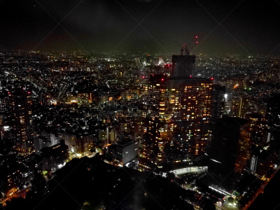 城市,日本,都市风光,宏伟,夜视,东京,新的,新宿区,水平画幅,新加坡