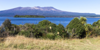 新西兰,Turangi,地形,环境,橙色,枝繁叶茂,草,湖,河流