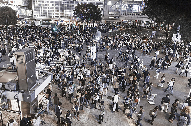 东京 日本 涉谷岔口 旅行的人 新宿区 水平画幅 高视角 夜晚 忙碌 行人图片素材下载 稿定素材