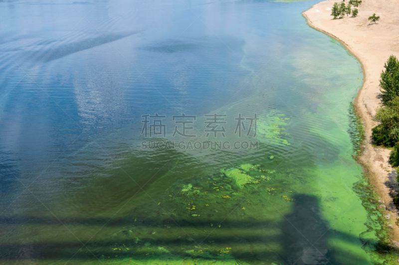 水,环境,细菌,有毒物质,绿河,问题
