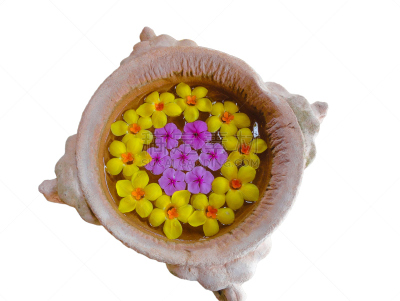 小号,边框,黄金,粉红蝉,水,芳香的,在边上,夏天,化妆用品,热带气候